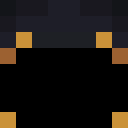 silverguy500